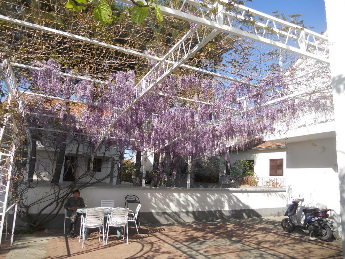 Apartments Gaj بروداريكا المظهر الخارجي الصورة