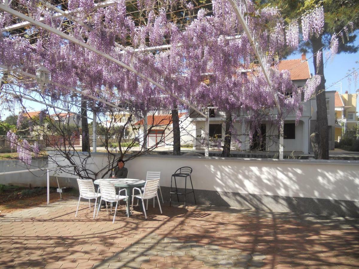 Apartments Gaj بروداريكا المظهر الخارجي الصورة